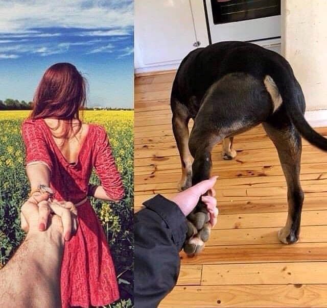 Cheezburger Image 10623664640