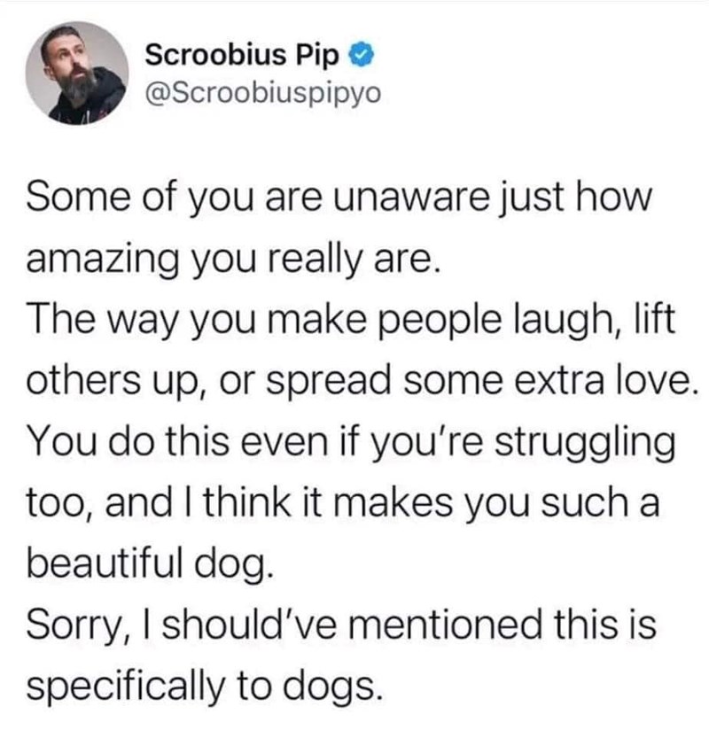 Scroobius Pip ❤ @Scroobiuspipyo Some of you are unaware just how amazing you really are. The way you make people laugh, lift others up, or spread some extra love. You do this even if you're struggling too, and I think it makes you such a beautiful dog. Sorry, I should've mentioned this is specifically to dogs.