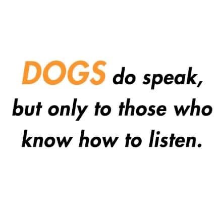 DOGS do speak, but only to those who know how to listen.