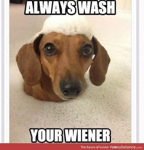 ALWAYS WASH YOUR WIENER The future of humor FUNsubstance.com