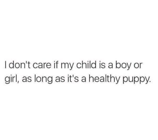 I don't care if my child is a boy or girl, as long as it's a healthy puppy.