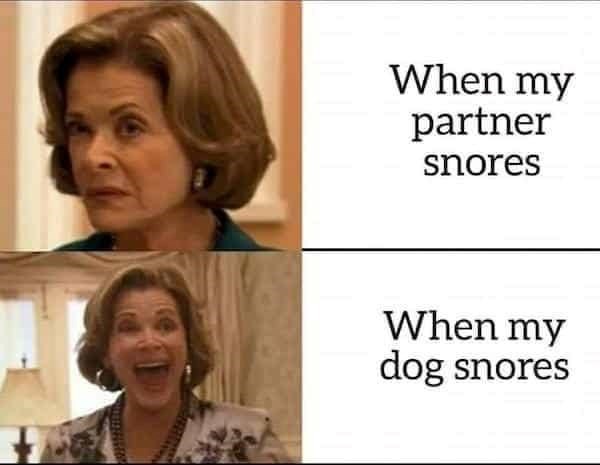 When my partner snores When my dog snores