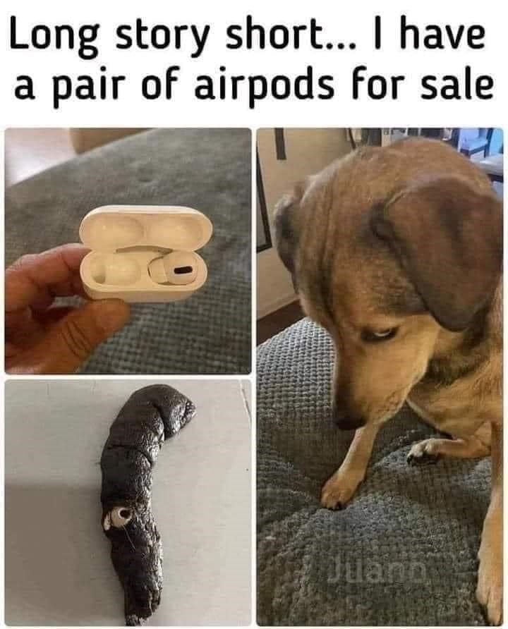 Long story short... I have a pair of airpods for sale Julann