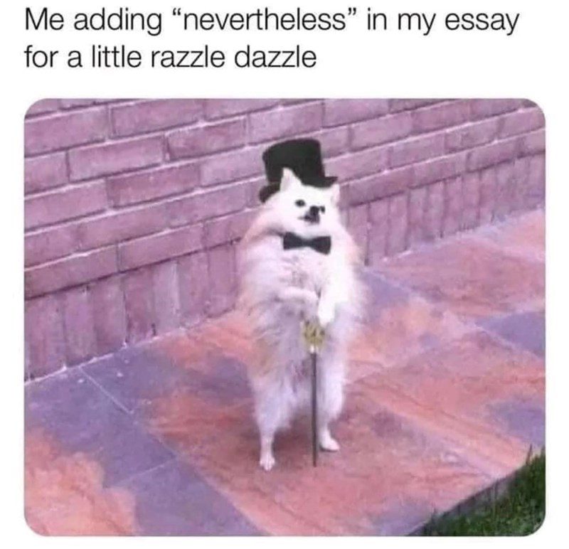 Me adding "nevertheless” in my essay for a little razzle dazzle