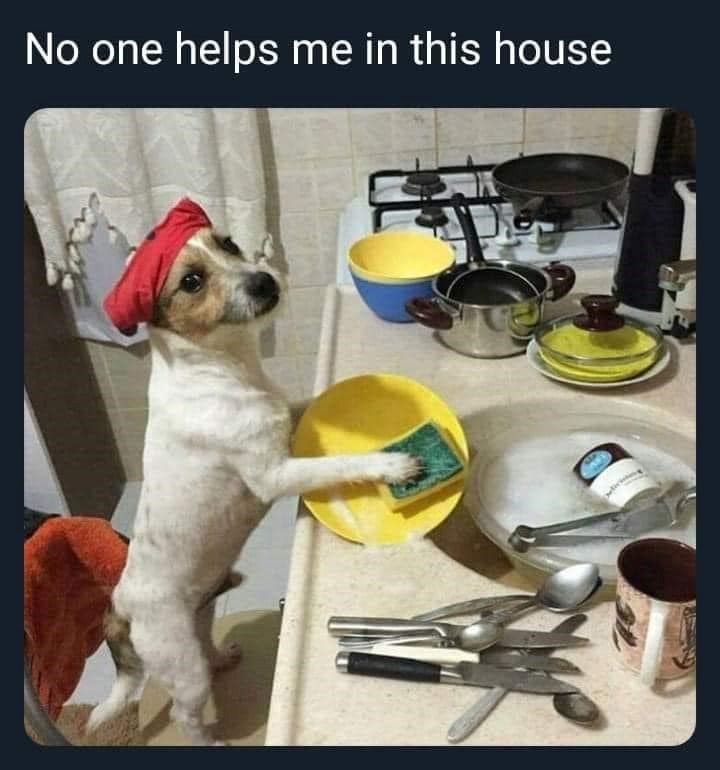 No one helps me in this house