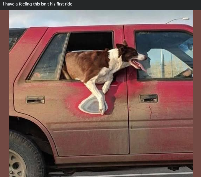 I have a feeling this isn't his first ride