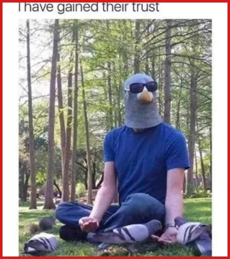 Thave gained their trust