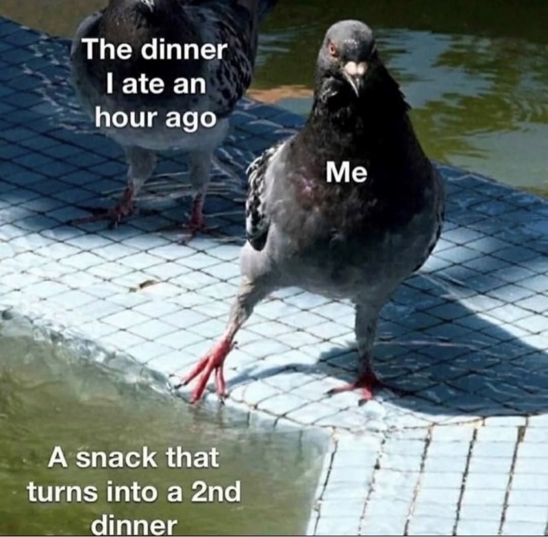 The dinner I ate an hour ago A snack that turns into a 2nd dinner Me