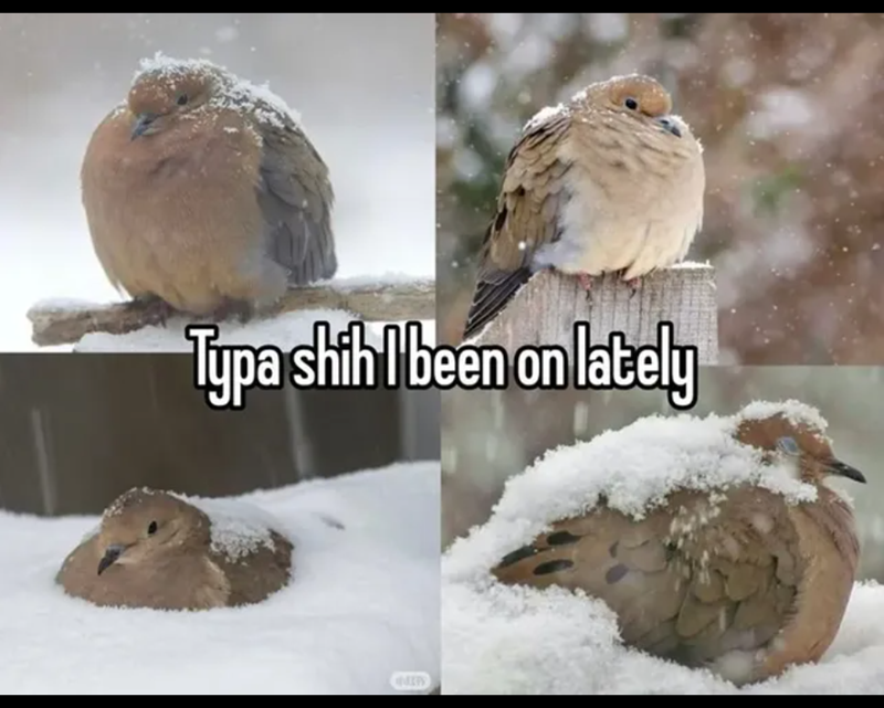 Typa shih I been on lately