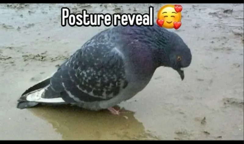 Posture reveal