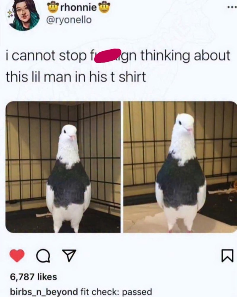rhonnie @ryonello i cannot stop fign thinking about this lil man in his t shirt от 6,787 likes birbs_n_beyond fit check: passed Σ