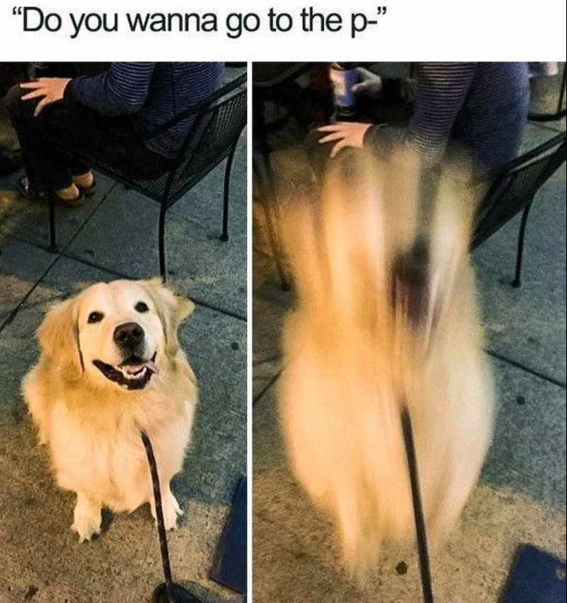 "Do you wanna go to the p-"