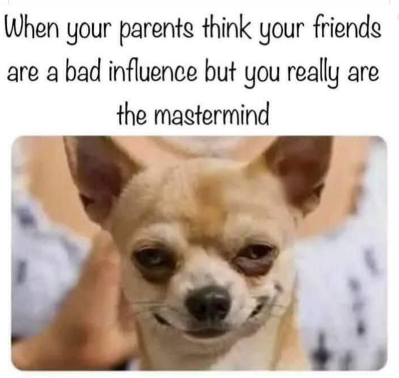 When your parents think your friends. are a bad influence but you really the mastermind are
