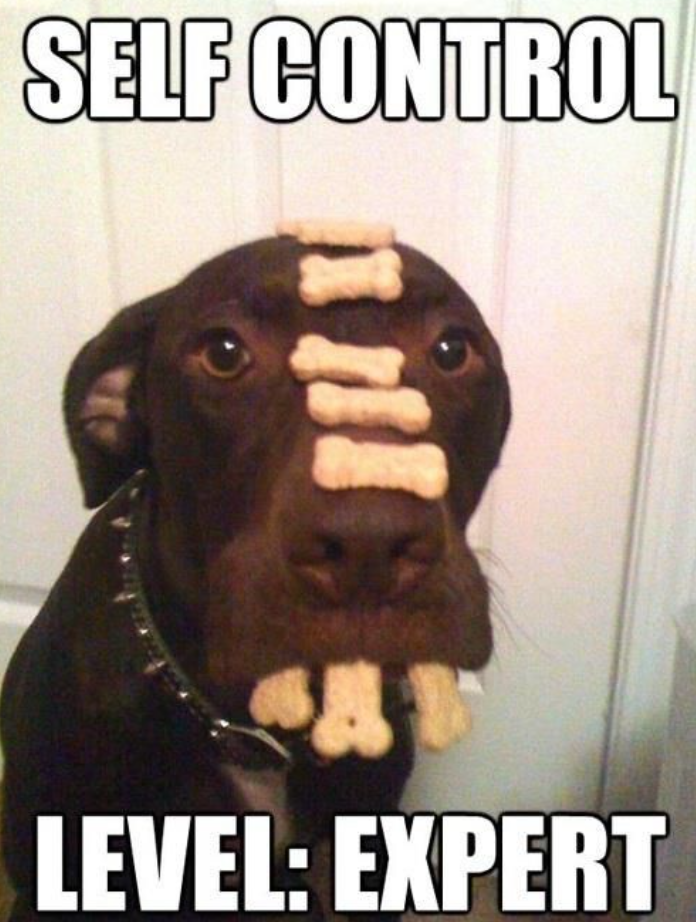 SELF CONTROL A LEVEL: EXPERT