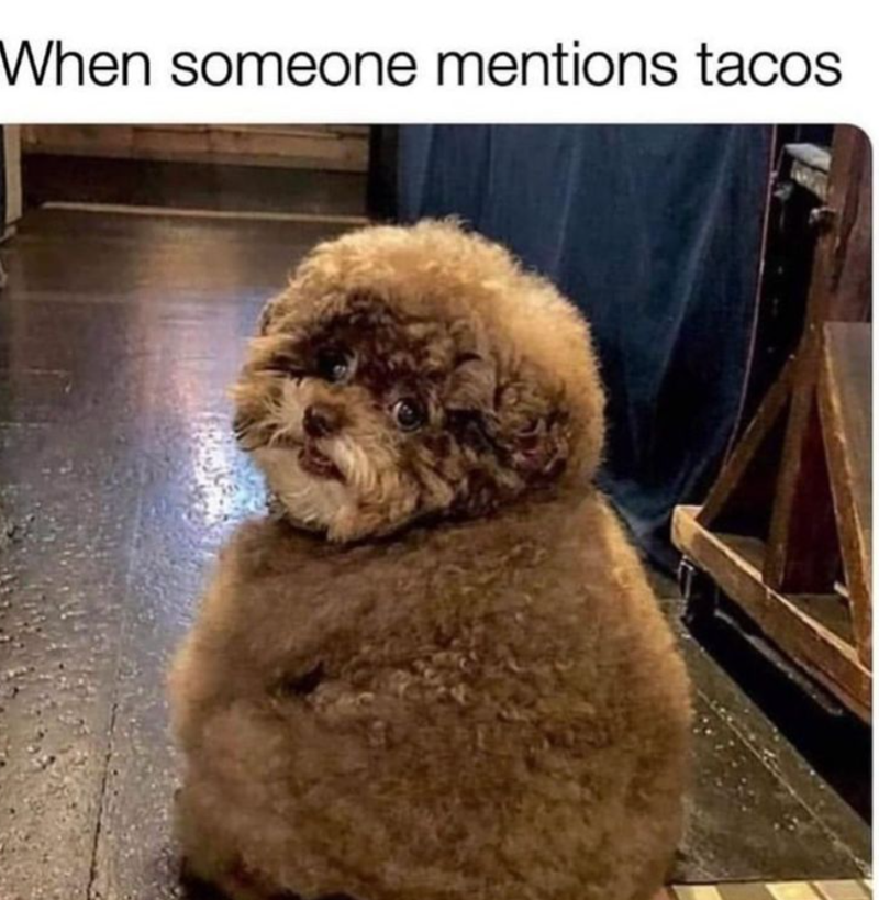 When someone mentions tacos