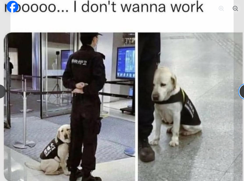 oooo... I don't wanna work 91978032