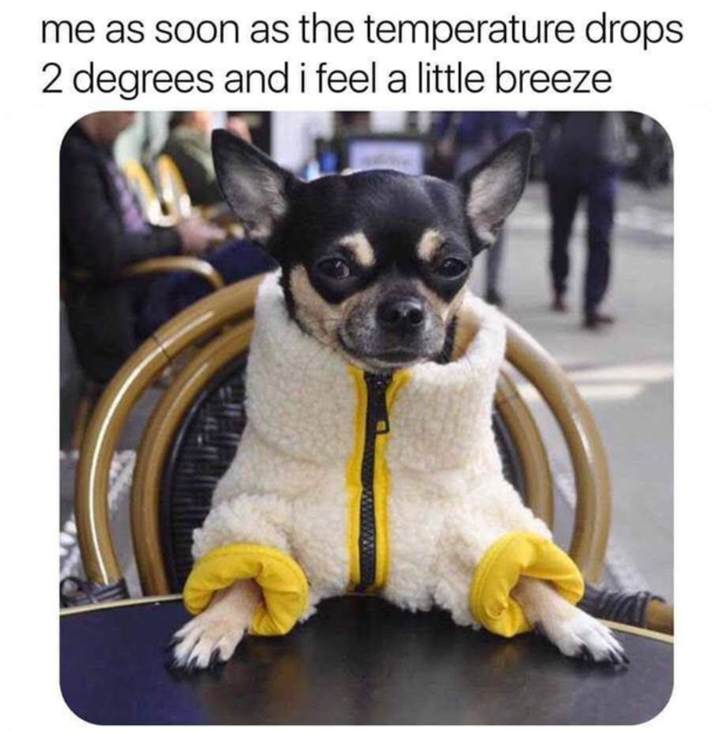 me as soon as the temperature drops 2 degrees and i feel a little breeze