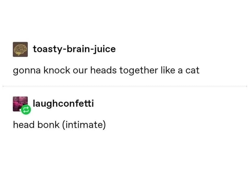 > toasty-brain-juice gonna knock our heads together like a cat laughconfetti head bonk (intimate)