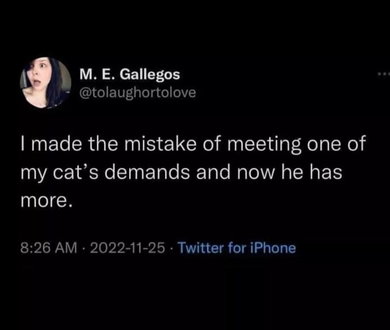 M. E. Gallegos @tolaughortolove I made the mistake of meeting one of my cat's demands and now he has more. 8:26 AM 2022-11-25 Twitter for iPhone .