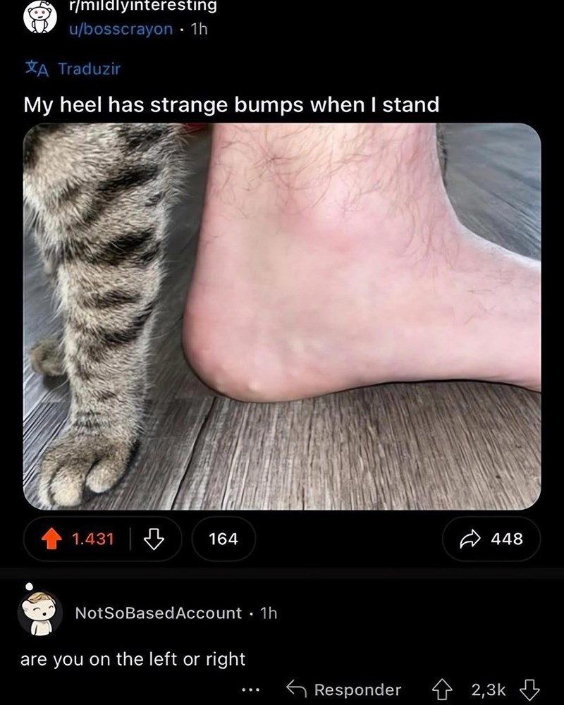 r/mildlyinteresting u/bosscrayon • 1h A Traduzir My heel has strange bumps when I stand 1.431 164 NotSoBased Account 1h are you on the left or right 448 Responder 2,3k
