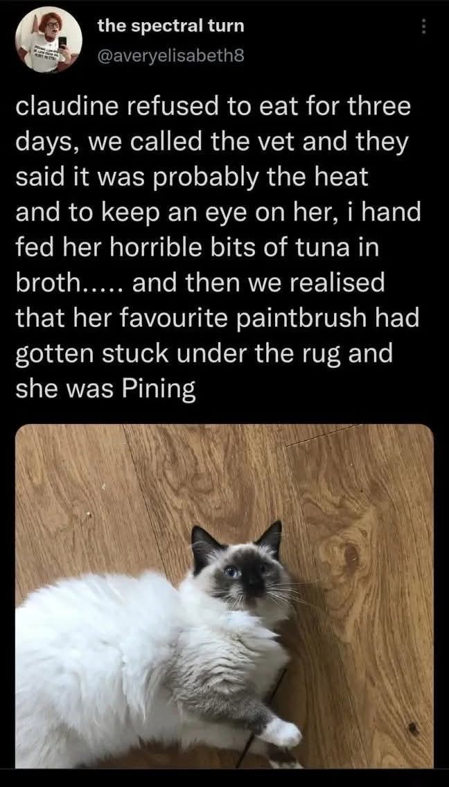 the spectral turn @averyelisabeth8 claudine refused to eat for three days, we called the vet and they said it was probably the heat and to keep an eye on her, i hand fed her horrible bits of tuna in broth..... and then we realised that her favourite paintbrush had gotten stuck under the rug and she was Pining