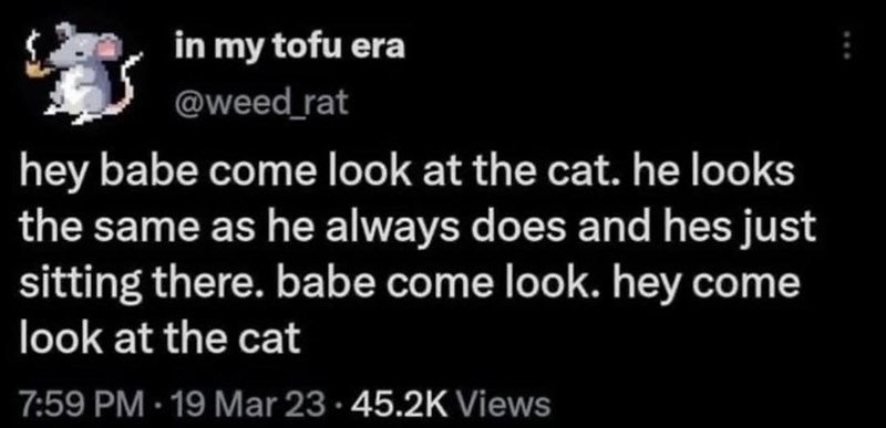 in my tofu era @weed_rat hey babe come look at the cat. he looks the same as he always does and hes just sitting there. babe come look. hey come look at the cat 7:59 PM 19 Mar 23 45.2K Views