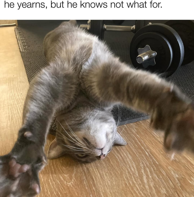 he yearns, but he knows not what for.