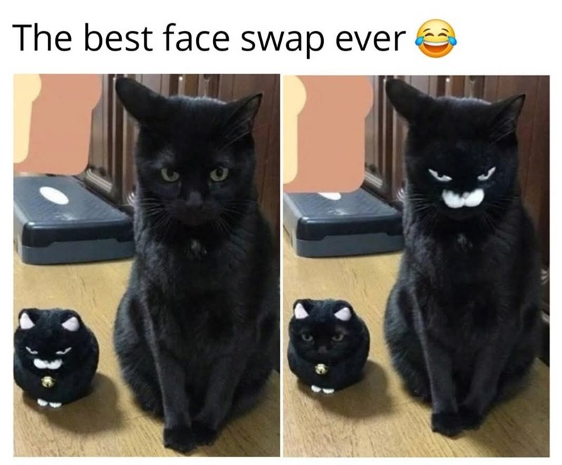 The best face swap ever