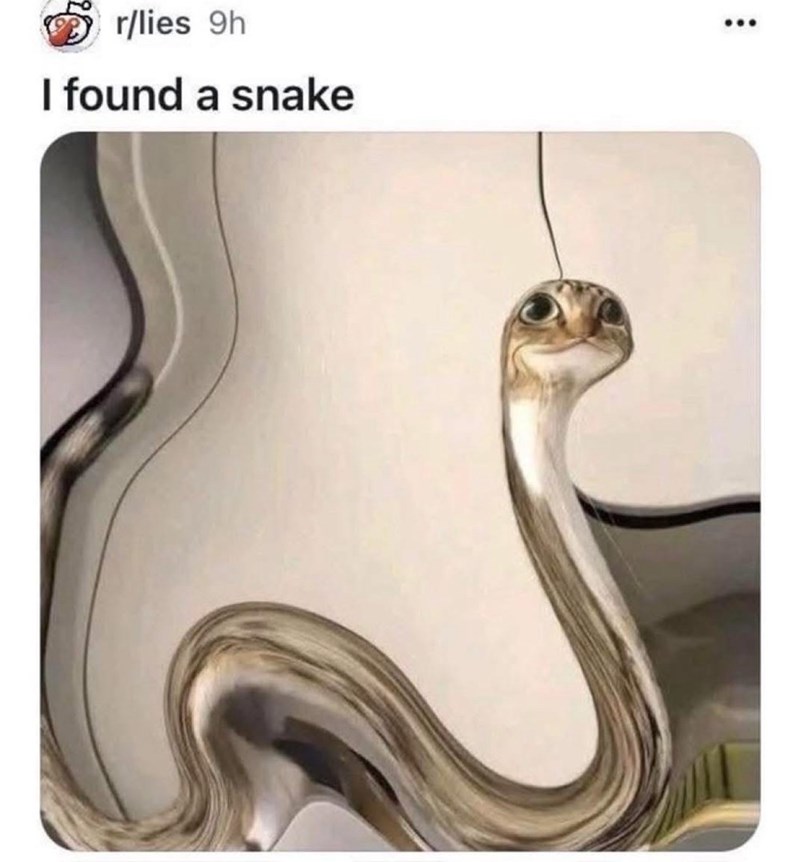 r/lies 9h I found a snake