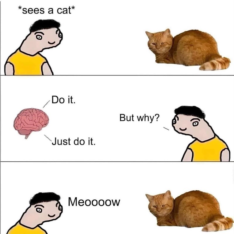 *sees a cat* Do it. Just do it. But why? (o Meoooow