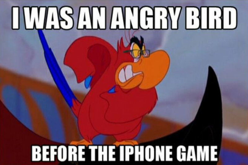 I WAS AN ANGRY BIRD BEFORE THE IPHONE GAME