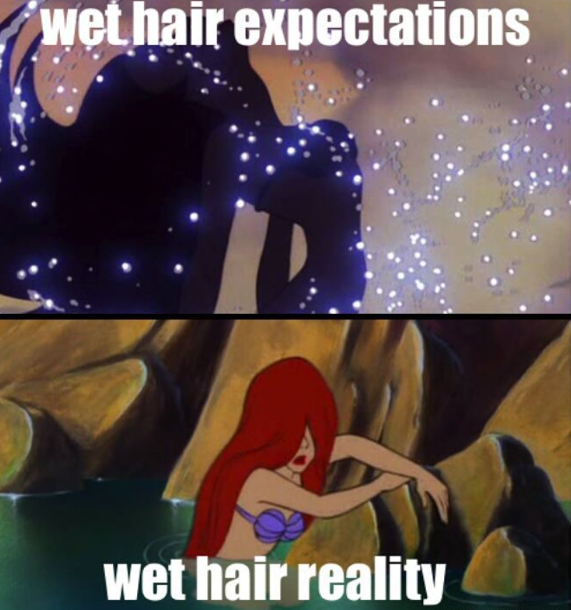 wet hair expectations wet hair reality