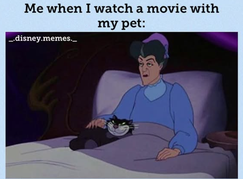 Me when I watch a movie with _.disney.memes._ my pet: