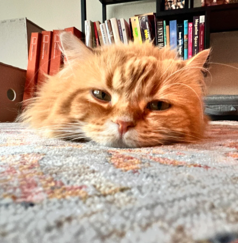 Negative Space - BININTH H