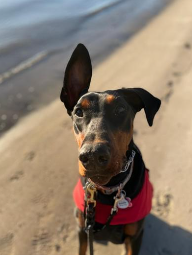 Cheezburger Image 10623713792