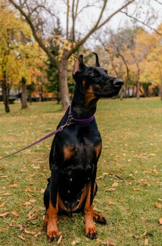 Cheezburger Image 10623714816