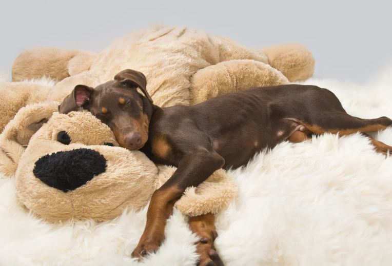 Cheezburger Image 10623716352