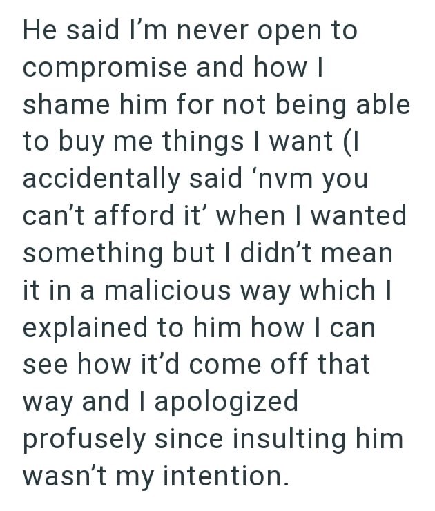 He said I'm never open to compromise and how I shame him for not being able to buy me things I want (I accidentally said 'nvm you can't afford it' when I wanted something but I didn't mean it in a malicious way which I explained to him how I can see how it'd come off that way and I apologized profusely since insulting him wasn't my intention.
