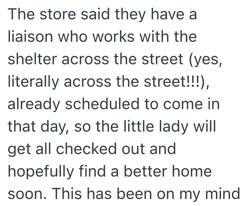 The store said they have a liaison who works with the shelter across the street (yes, literally across the street!!!), already scheduled to come in that day, so the little lady will get all checked out and hopefully find a better home soon. This has been on my mind