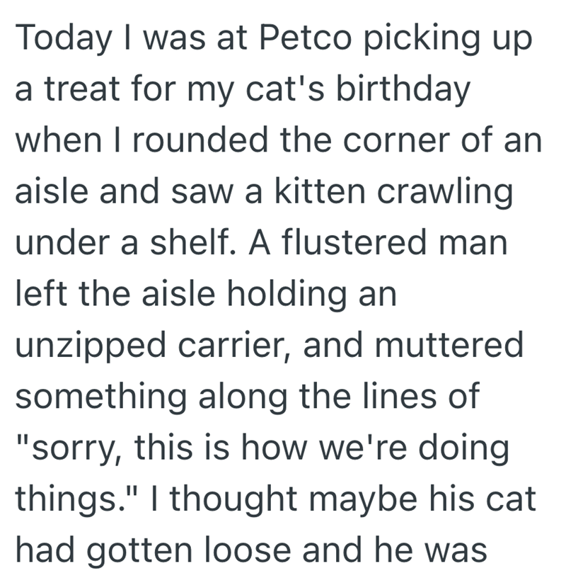 Today I was at Petco picking up a treat for my cat's birthday when I rounded the corner of an aisle and saw a kitten crawling under a shelf. A flustered man left the aisle holding an unzipped carrier, and muttered something along the lines of "sorry, this is how we're doing things." I thought maybe his cat had gotten loose and he was