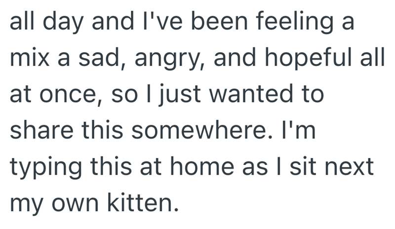 all day and I've been feeling a mix a sad, angry, and hopeful all at once, so I just wanted to share this somewhere. I'm typing this at home as I sit next my own kitten.