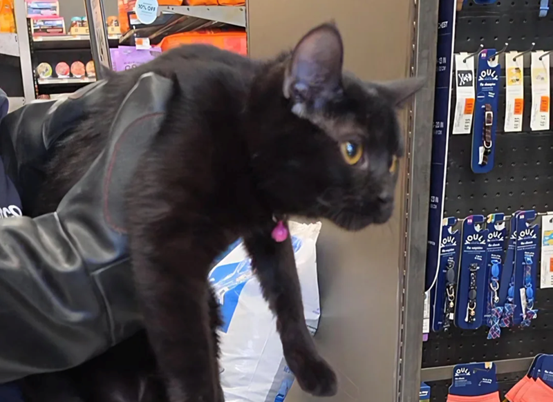 CO 30% OFF □ XOUS OU OU OU OUL OU