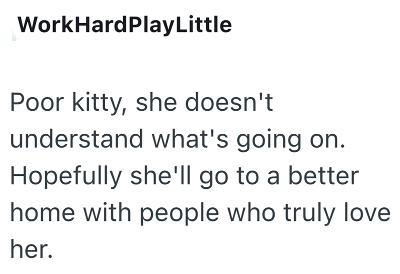 WorkHardPlayLittle Poor kitty, she doesn't understand what's going on. Hopefully she'll go to a better home with people who truly love her.