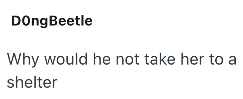 DongBeetle Why would he not take her to a shelter