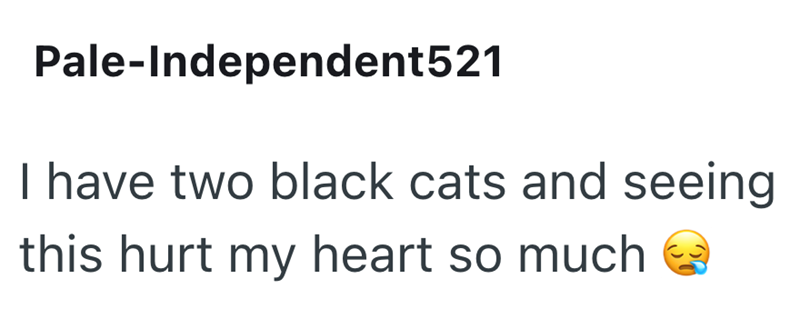 Pale-Independent521 I have two black cats and seeing this hurt my heart so much