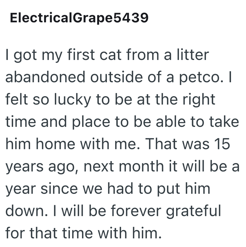 ElectricalGrape5439 I got my first cat from a litter abandoned outside of a petco. I felt so lucky to be at the right time and place to be able to take him home with me. That was 15 years ago, next month it will be a year since we had to put him down. I will be forever grateful for that time with him.