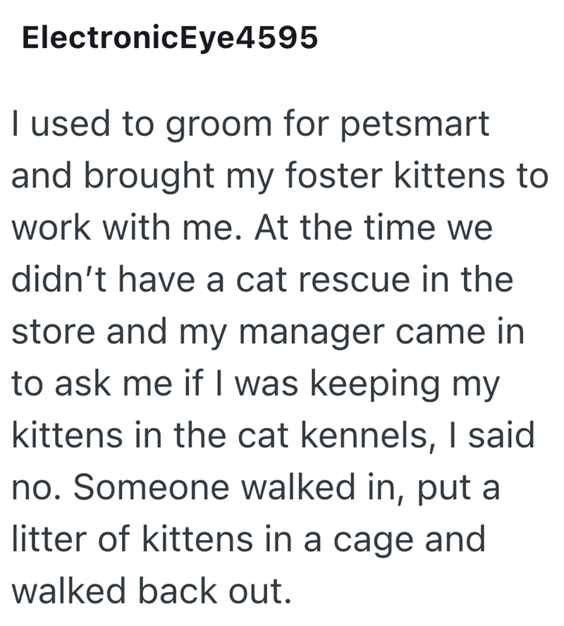 ElectronicEye4595 I used to groom for petsmart and brought my foster kittens to work with me. At the time we didn't have a cat rescue in the store and my manager came in to ask me if I was keeping my kittens in the cat kennels, I said no. Someone walked in, put a litter of kittens in a cage and walked back out.