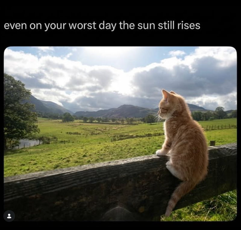 even on your worst day the sun still rises
