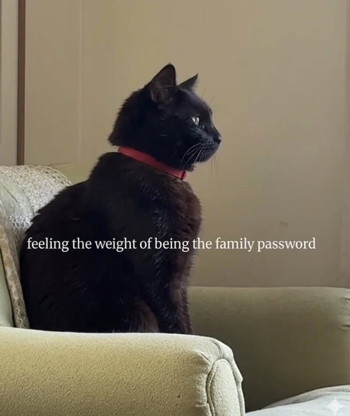 feeling the weight of being the family password
