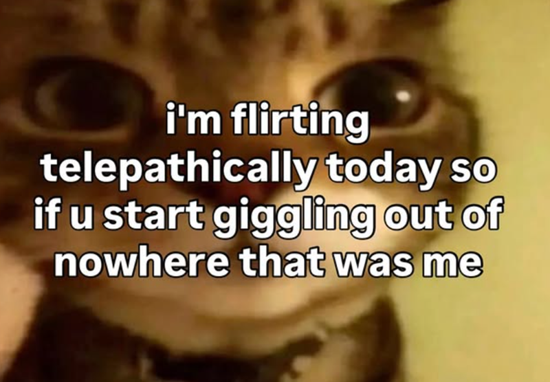 i'm flirting telepathically today so if u start giggling out of nowhere that was me